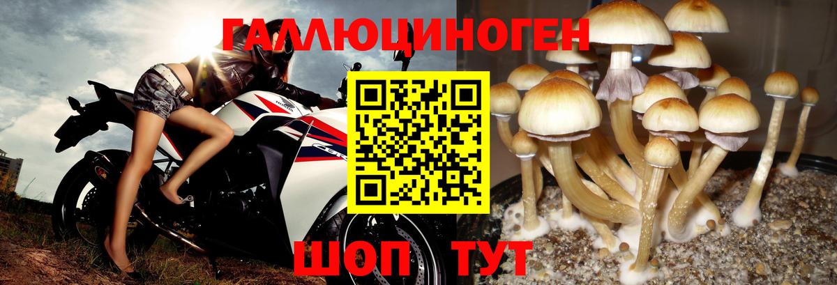 Махачкала  Псилоцибиновые грибы ЛСД  Вход с VPN 