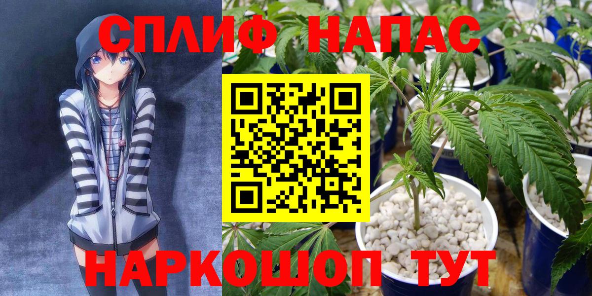 Бошки марихуана VHQ  МАРИХУАНА White Widow  Вход с VPN  Махачкала  Марихуана сатива  Бошки марихуана MAZAR 